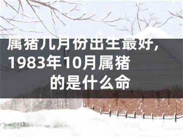 属猪几月份出生最好,1983年10月属猪的是什么命