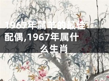 1967年属羊的最佳配偶,1967年属什么生肖