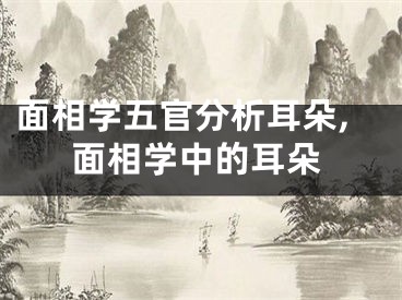 面相学五官分析耳朵,面相学中的耳朵