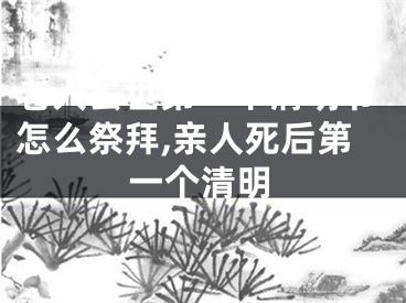 老人去世第一个清明节怎么祭拜,亲人死后第一个清明