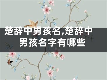 楚辞中男孩名,楚辞中男孩名字有哪些