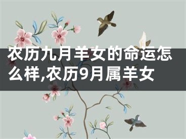 农历九月羊女的命运怎么样,农历9月属羊女