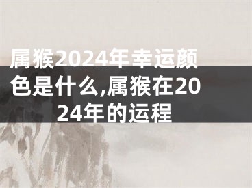 属猴2024年幸运颜色是什么,属猴在2024年的运程