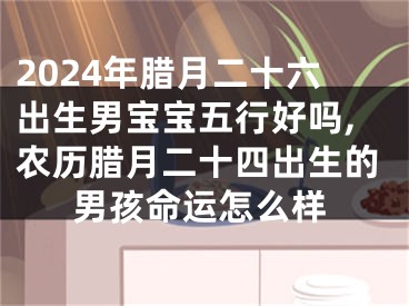 2024年腊月二十六出生男宝宝五行好吗,农历腊月二十四出生的男孩命运怎么样