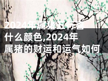 2024年属猪五行喜什么颜色,2024年属猪的财运和运气如何