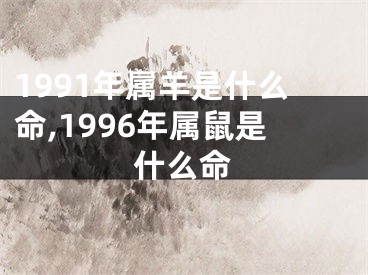 1991年属羊是什么命,1996年属鼠是什么命