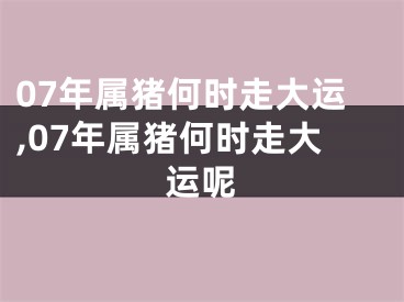 07年属猪何时走大运,07年属猪何时走大运呢
