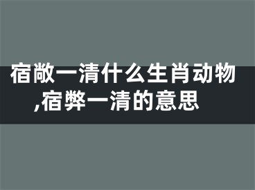 宿敞一清什么生肖动物,宿弊一清的意思