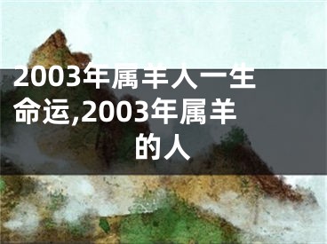 2003年属羊人一生命运,2003年属羊的人