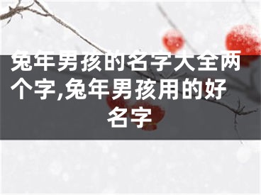 兔年男孩的名字大全两个字,兔年男孩用的好名字