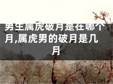 男生属虎破月是在哪个月,属虎男的破月是几月