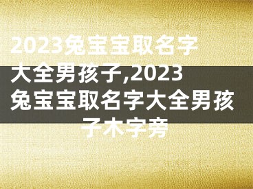 2023兔宝宝取名字大全男孩子,2023兔宝宝取名字大全男孩子木字旁