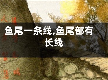 鱼尾一条线,鱼尾部有长线