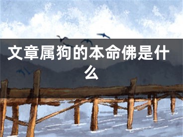文章属狗的本命佛是什么