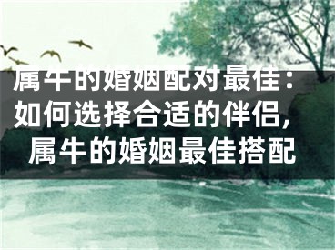 属牛的婚姻配对最佳：如何选择合适的伴侣,属牛的婚姻最佳搭配