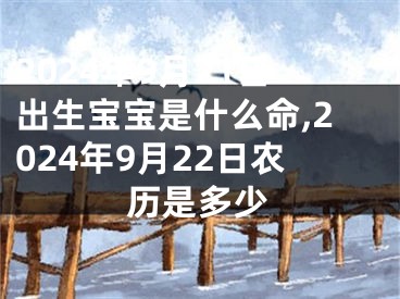 2024年9月21日出生宝宝是什么命,2024年9月22日农历是多少