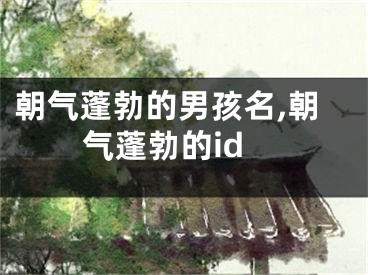 朝气蓬勃的男孩名,朝气蓬勃的id