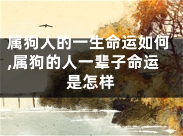 属狗人的一生命运如何,属狗的人一辈子命运是怎样