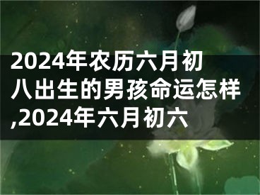 2024年农历六月初八出生的男孩命运怎样,2024年六月初六