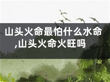 山头火命最怕什么水命,山头火命火旺吗