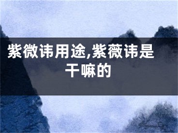 紫微讳用途,紫薇讳是干嘛的