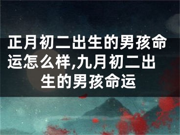正月初二出生的男孩命运怎么样,九月初二出生的男孩命运