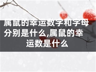 属鼠的幸运数字和字母分别是什么,属鼠的幸运数是什么