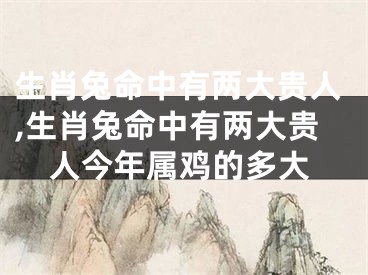 生肖兔命中有两大贵人,生肖兔命中有两大贵人今年属鸡的多大