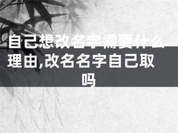 自己想改名字需要什么理由,改名名字自己取吗