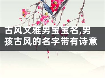 古风文雅男宝宝名,男孩古风的名字带有诗意