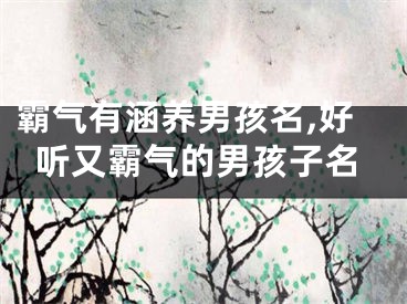 霸气有涵养男孩名,好听又霸气的男孩子名