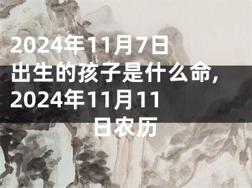 2024年11月7日出生的孩子是什么命,2024年11月11日农历
