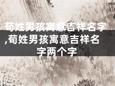 荀姓男孩寓意吉祥名字,荀姓男孩寓意吉祥名字两个字
