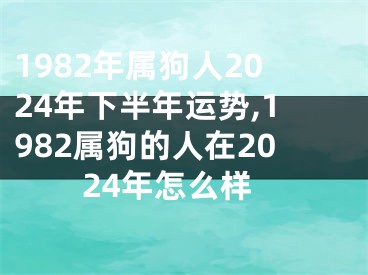 1982年属狗人2024年下半年运势,1982属狗的人在2024年怎么样