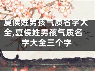 夏侯姓男孩气质名字大全,夏侯姓男孩气质名字大全三个字