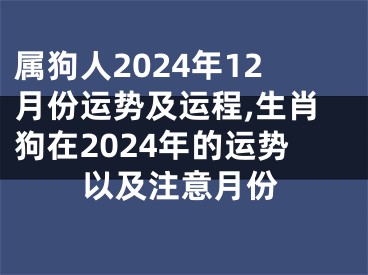 属狗人2024年12月份运势及运程,生肖狗在2024年的运势以及注意月份