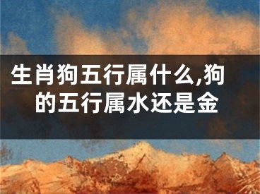 生肖狗五行属什么,狗的五行属水还是金