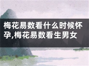 梅花易数看什么时候怀孕,梅花易数看生男女