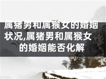 属猪男和属猴女的婚姻状况,属猪男和属猴女的婚姻能否化解