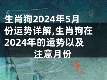 生肖狗2024年5月份运势详解,生肖狗在2024年的运势以及注意月份