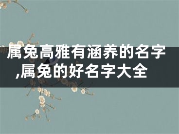 属兔高雅有涵养的名字,属兔的好名字大全