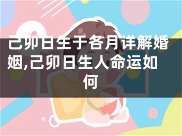 己卯日生于各月详解婚姻,己卯日生人命运如何