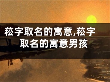 菘字取名的寓意,菘字取名的寓意男孩
