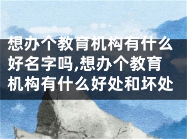 想办个教育机构有什么好名字吗,想办个教育机构有什么好处和坏处