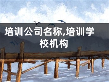 培训公司名称,培训学校机构