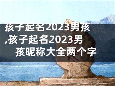 孩子起名2023男孩,孩子起名2023男孩昵称大全两个字