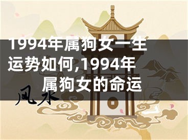 1994年属狗女一生运势如何,1994年属狗女的命运