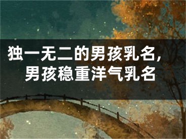独一无二的男孩乳名,男孩稳重洋气乳名