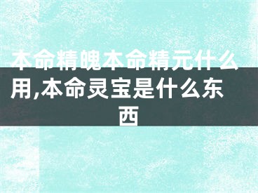 本命精魄本命精元什么用,本命灵宝是什么东西