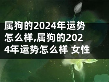 属狗的2024年运势怎么样,属狗的2024年运势怎么样 女性